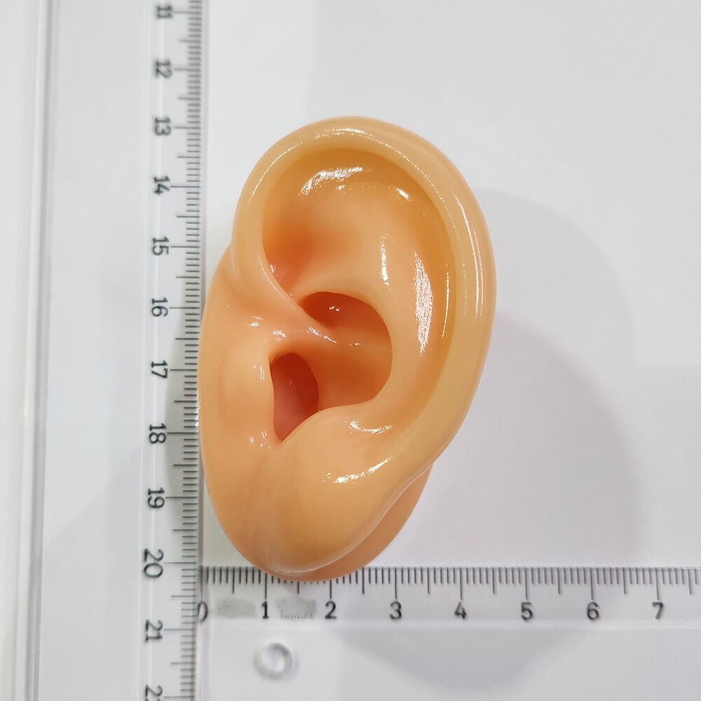 Kulak maketi SOL Kulak için, İşitme Cihazı denemesi için Silikon Kulak maketi, Bej Ten rengi Gerçek Kulak Ölçüsünde Maket, YesMed -