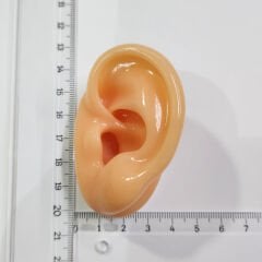 Kulak maketi SOL Kulak için, İşitme Cihazı denemesi için Silikon Kulak maketi, Bej Ten rengi Gerçek Kulak Ölçüsünde Maket, YesMed -