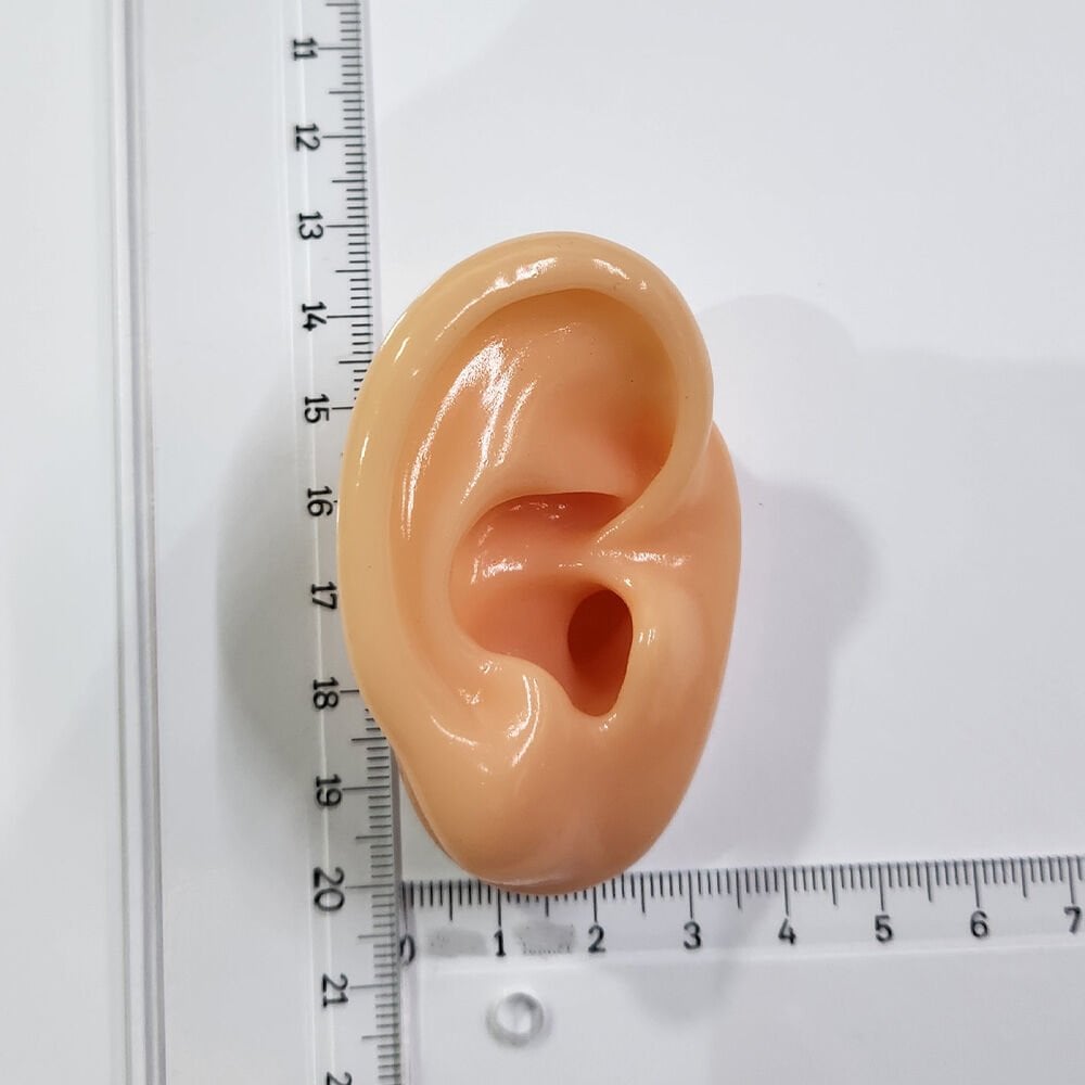 Kulak maketi SAĞ Kulak için, İşitme Cihazı denemesi için Silikon Kulak maketi, Bej Ten rengi Gerçek Kulak Ölçüsünde Maket, YesMed -